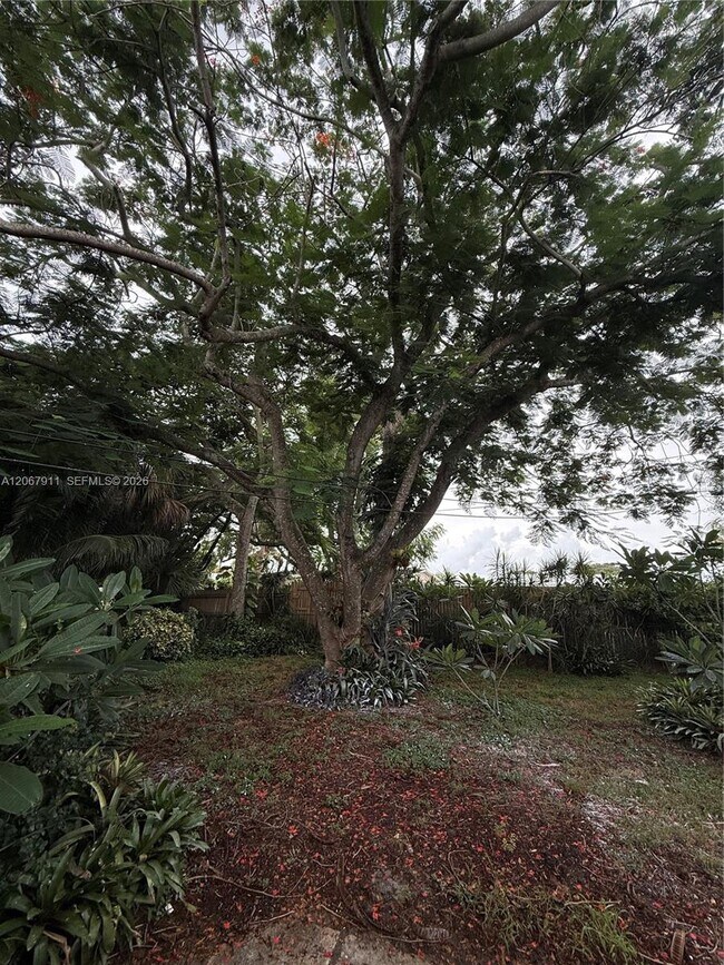 Building Photo - 3558 Everglades Rd
