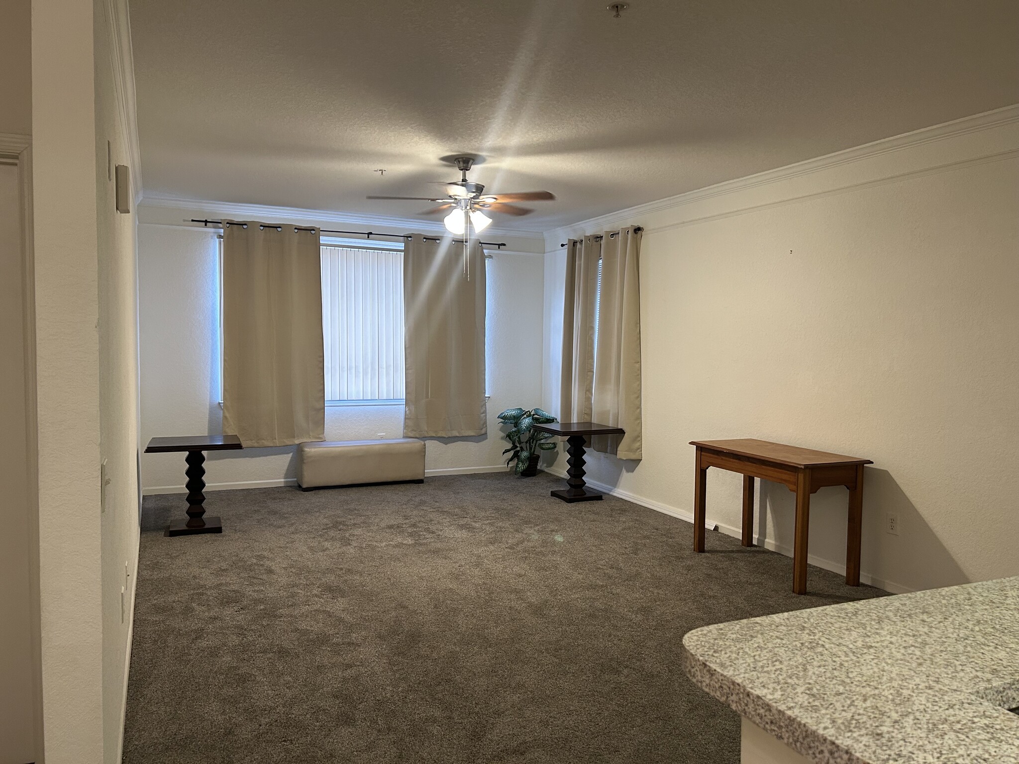 2/2 Condo in Tampa Palms area - 17102 Carrington Park Dr