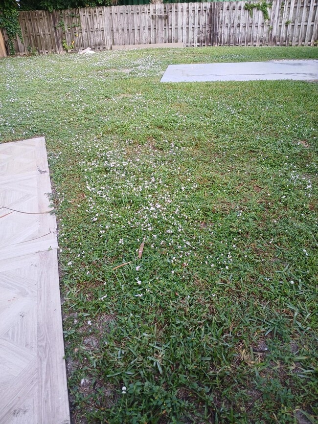 Building Photo - 8743 Sol Terrace