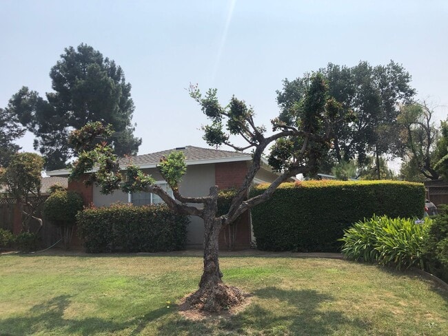 Building Photo - Sunnyvale Home Coming Soon in Cupertino Sc...