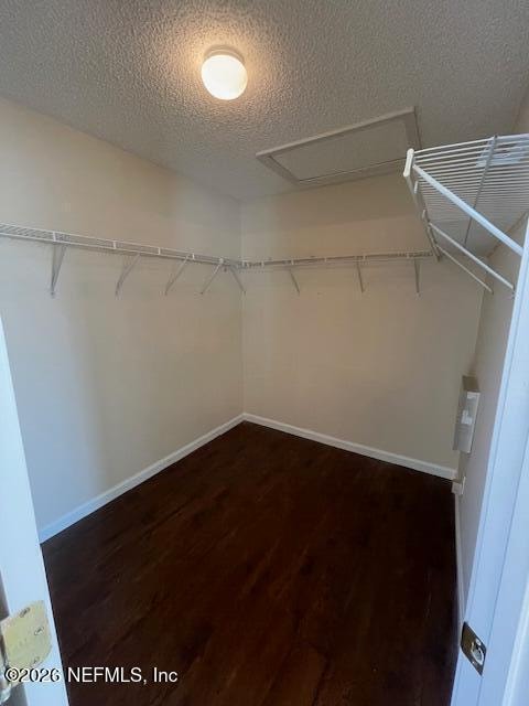 Building Photo - 5009 Grand Lakes Dr S