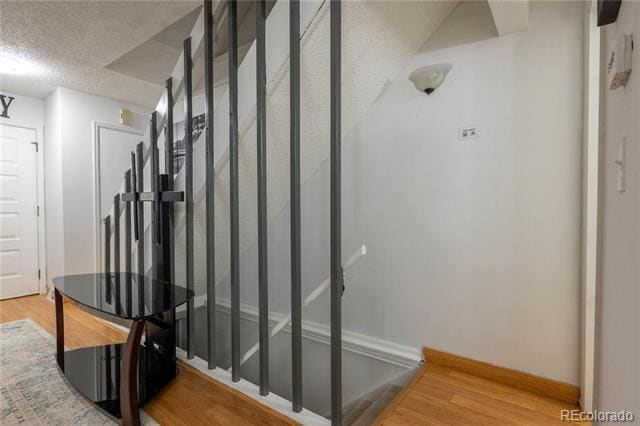 Building Photo - 1517 S Owens St