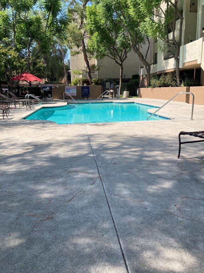 small pool - 5535 Canoga Ave
