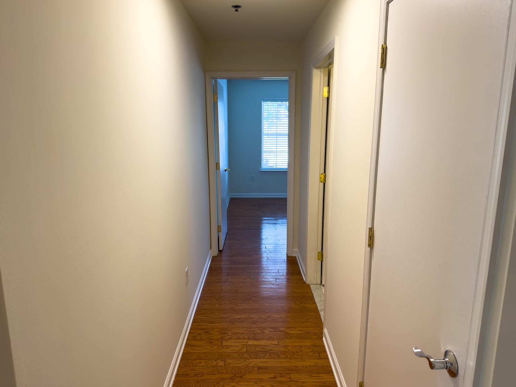 Building Photo - 858 Nittany Ct