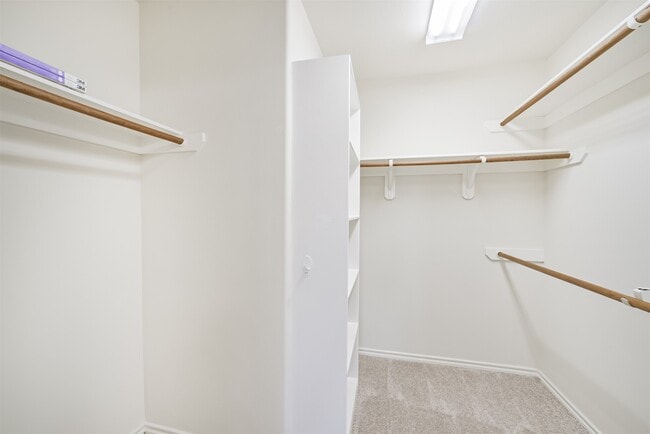 Building Photo - 11823 Keystone Spring Way