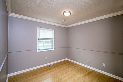 Building Photo - Completely Renovated 3 Bedroom 2 Bathroom ...
