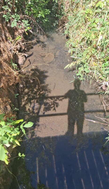 Building Photo - 2782 12th Pl SE