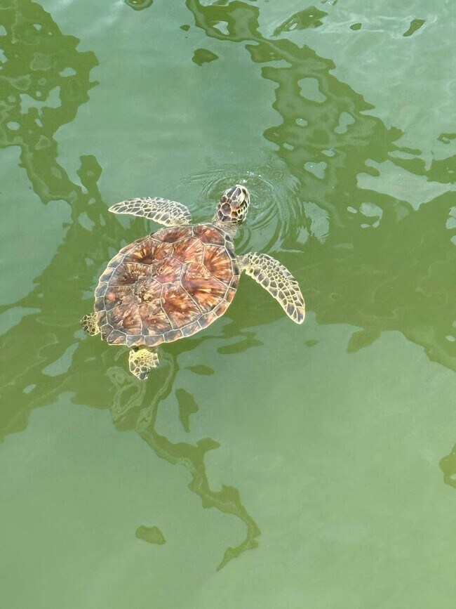 Building Photo - 1950 W Crown Pointe Blvd