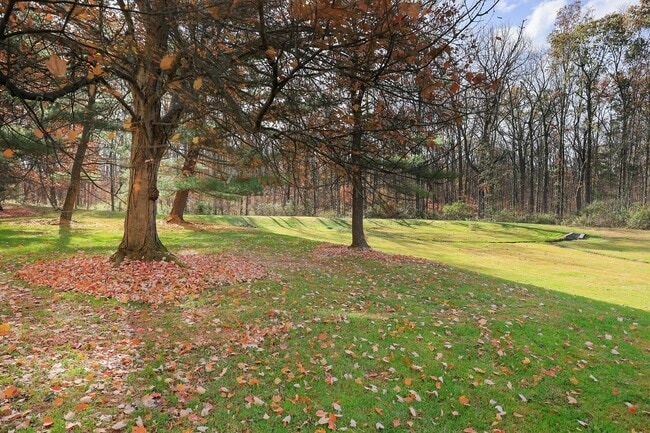 Building Photo - 91 Jamestown Rd