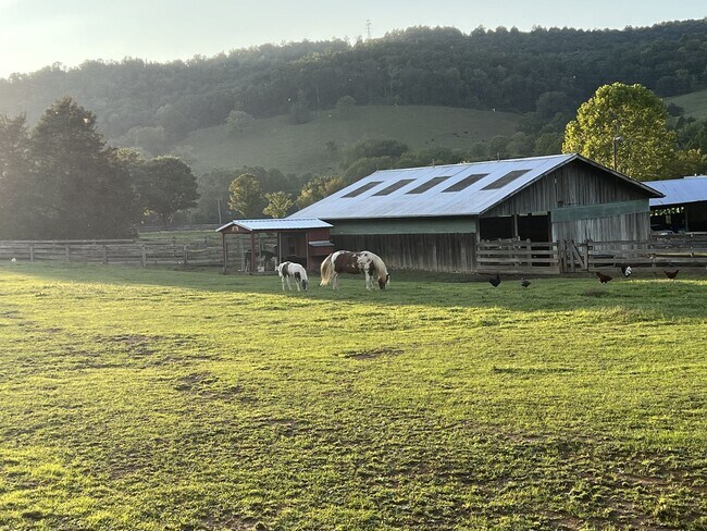 Building Photo - Home on Beautiful Farm and Vineyard Minutes From Town Of Blacksburg