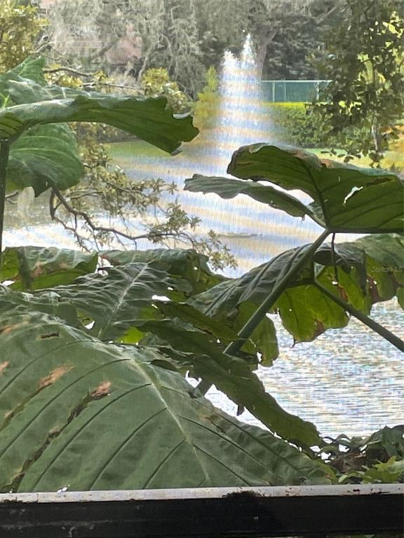 Building Photo - 1926 Whispering Way