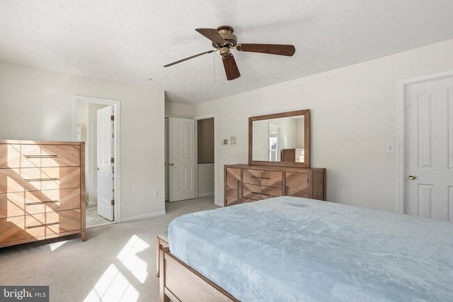 Building Photo - 2604 Tallwind Ct