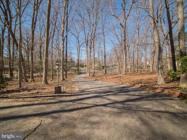 Building Photo - 4313 Woodlark Dr