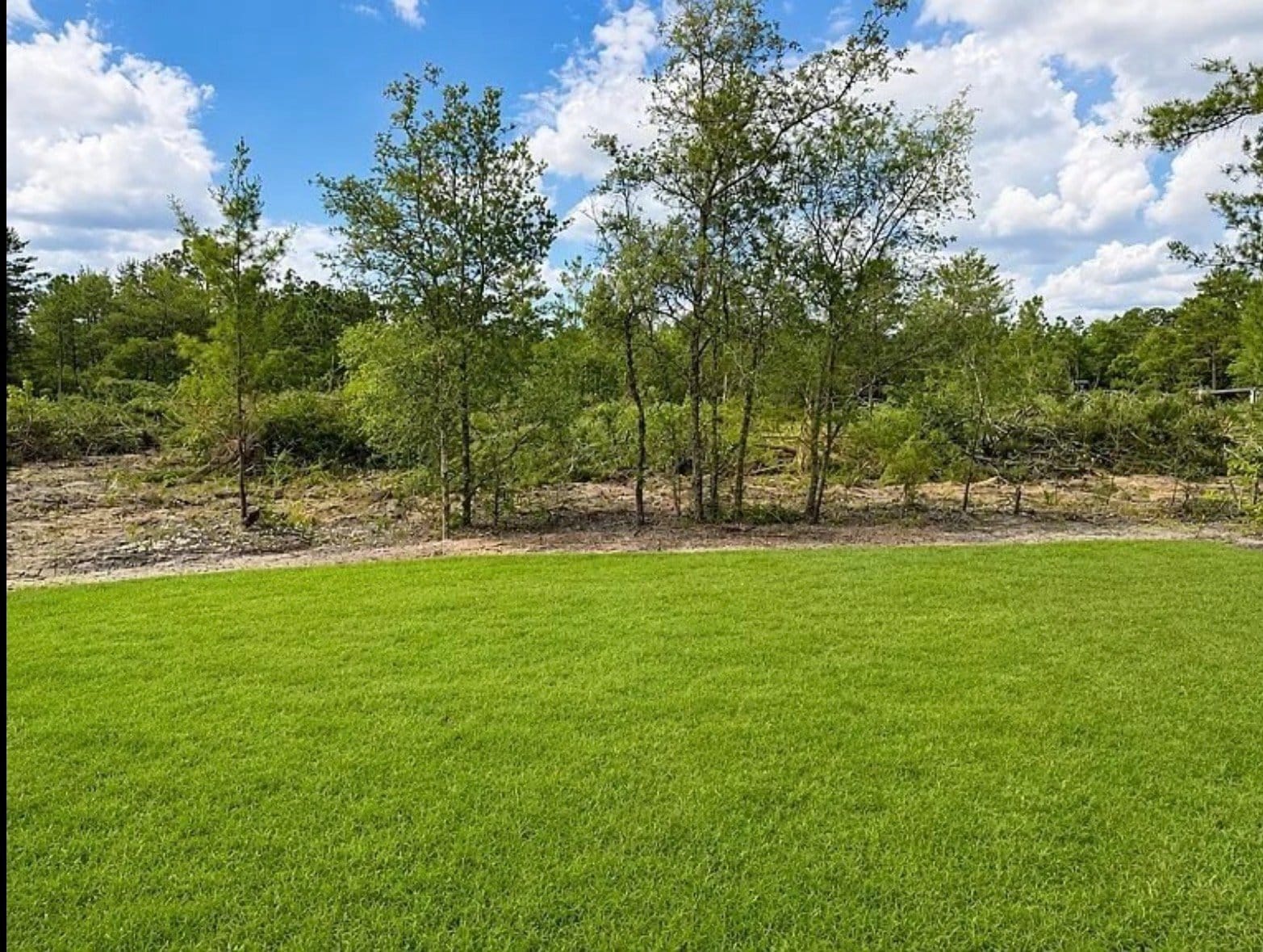 Building Photo - 1623 Trout Dr