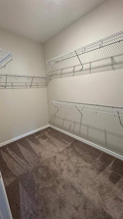 Building Photo - 11168 Hanlon Ter Aly