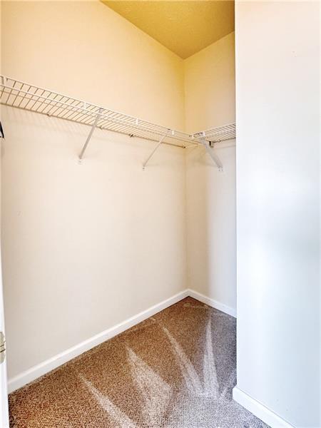 Building Photo - 203 Sonie Dr