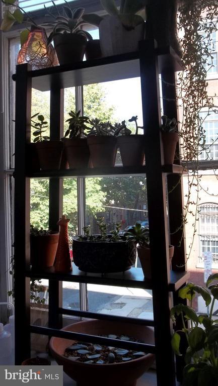 Building Photo - 408 Vine St