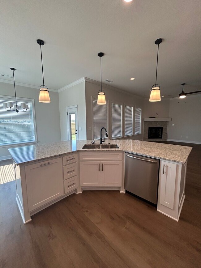 Building Photo - Beautiful Modern Home in Pea Ridge!