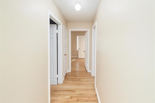 Building Photo - 822 Bandera Ln