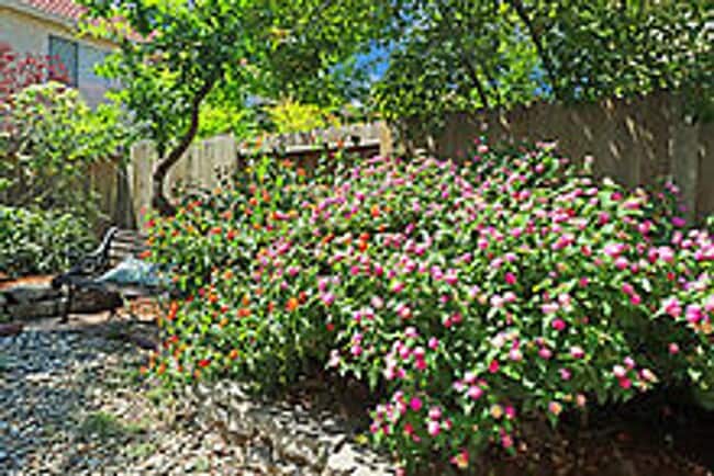 Building Photo - Beautiful 3 Bedroom Home-$750.00 Off 1st M...