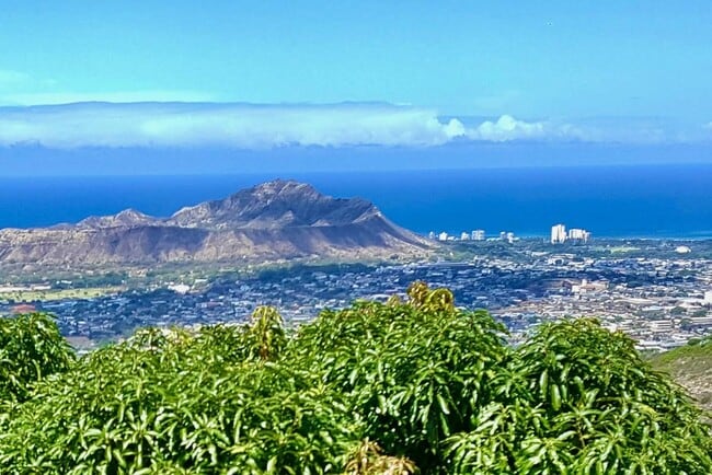 Building Photo - 2158 Halekoa Dr