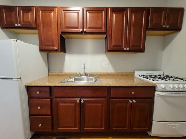 Building Photo - 2 bedroom in Chicago IL 60657