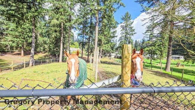 Building Photo - First Time Rental! Newly Remodeled 3bed 2bath Super clean home in top condition. Just under 1 acr...