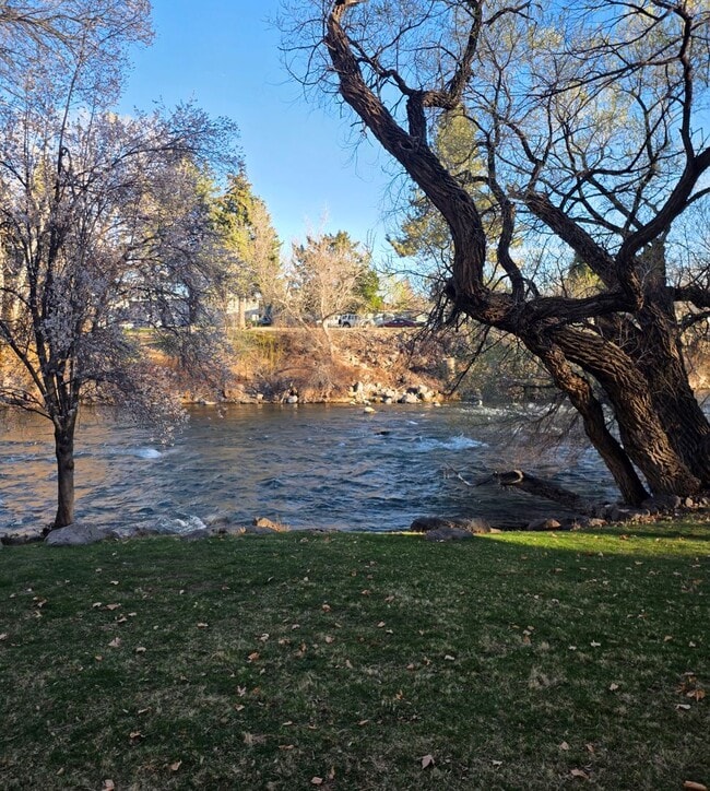 Building Photo - Amazing condo next to the Truckee River!