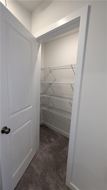 Building Photo - 1732 Harper Lily Ln