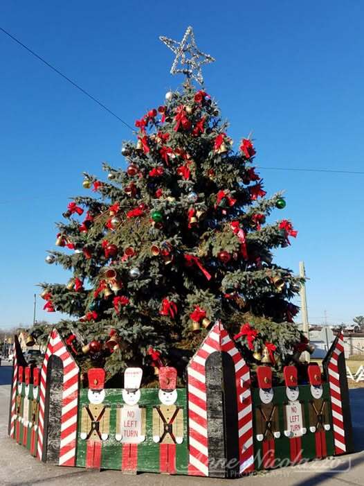 Annual Tree Lighting - 35711 Alfred St