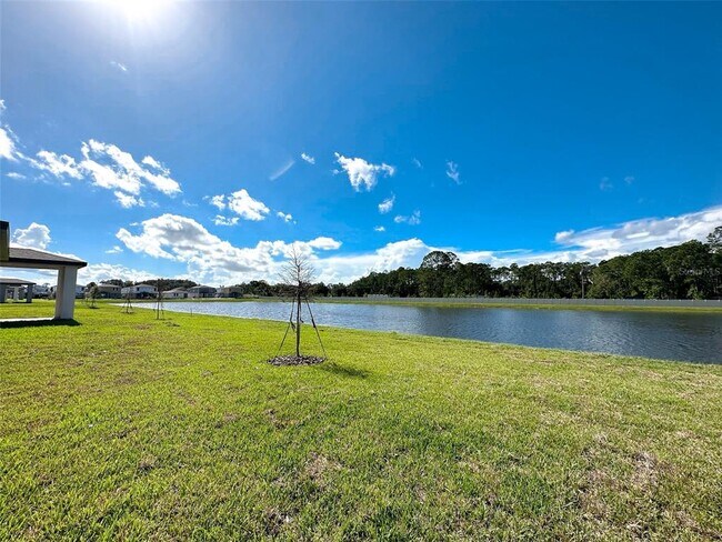 Building Photo - 484 Sun Warbler Wy