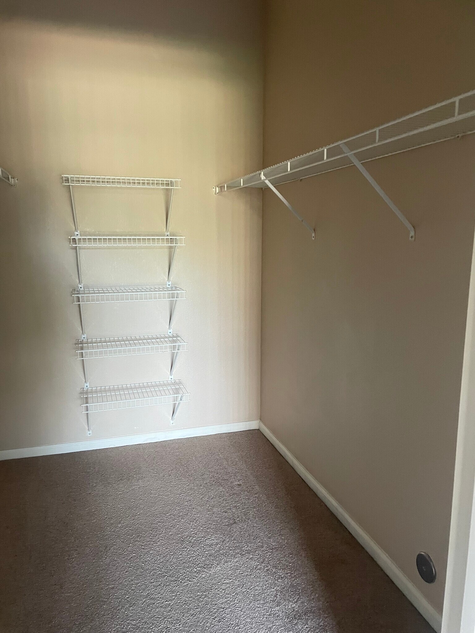 Huge walk in closet - 1465 Blue Sky Cir