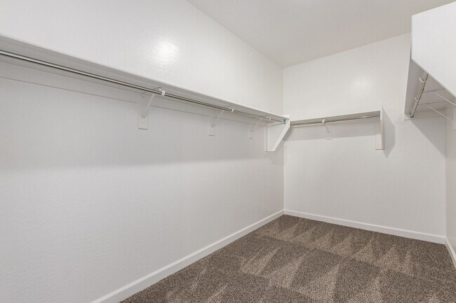 Building Photo - Brand New - Never Lived In 4 Bedroom / 2 B...