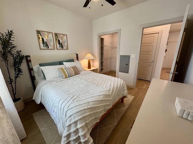 Building Photo - 320 Goll St