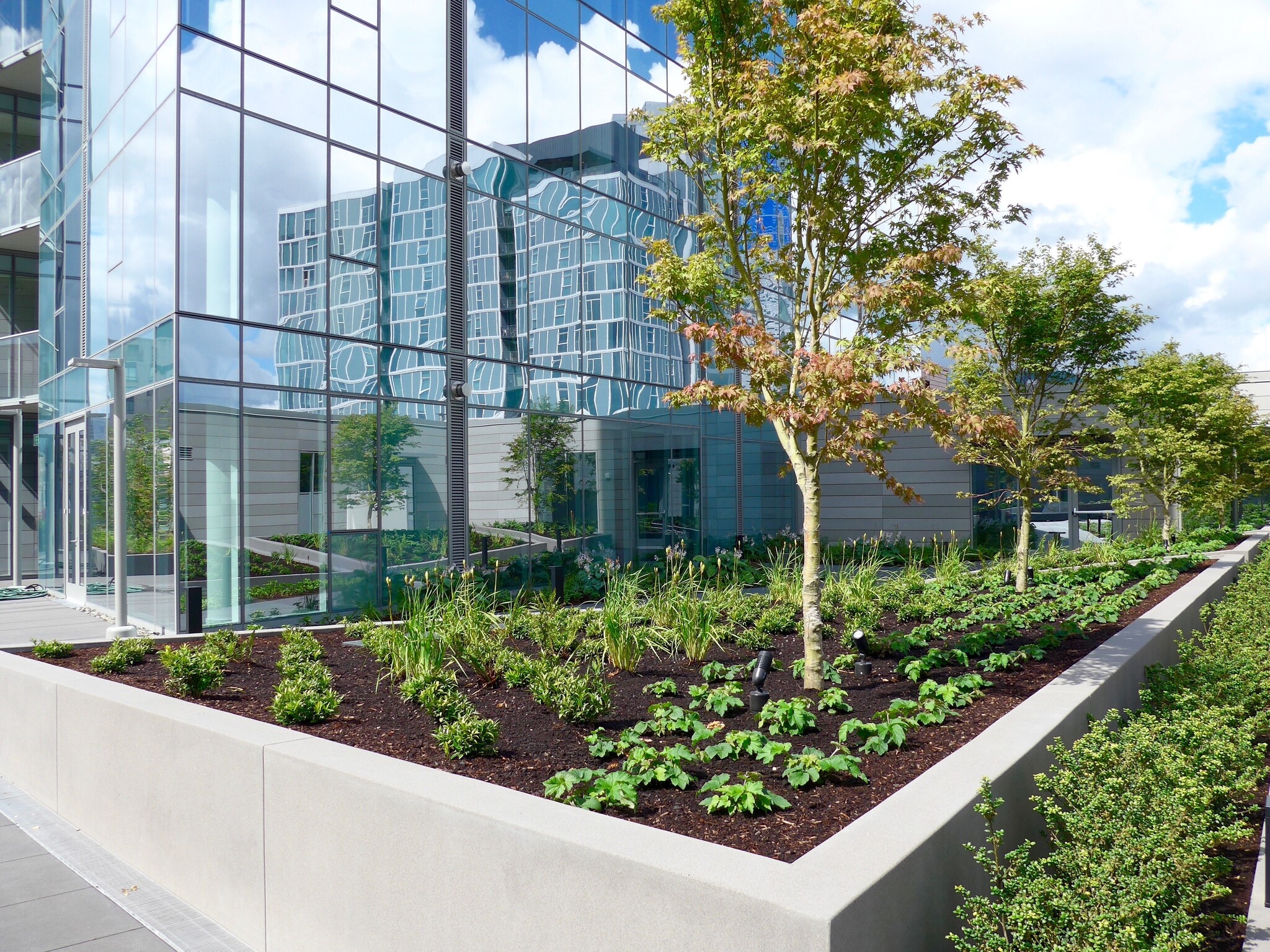 4th floor common area - 1075 NW Northrup