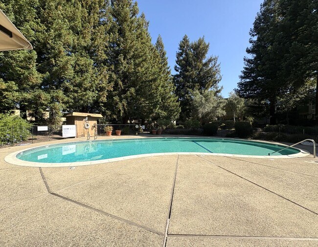 Building Photo - Spacious Updated 2 Bed / 2 Bath Condo with A/C, Huge Balcony & Community Pool