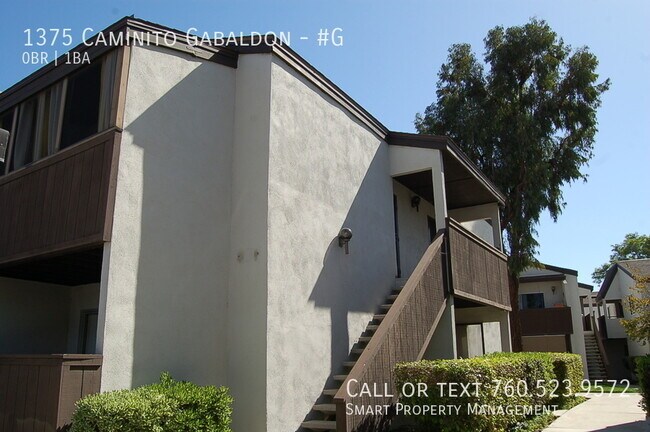 Building Photo - 1375 Caminito Gabaldon