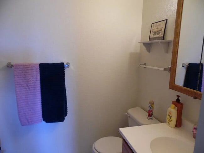 Building Photo - 2402 Sunrise Ct