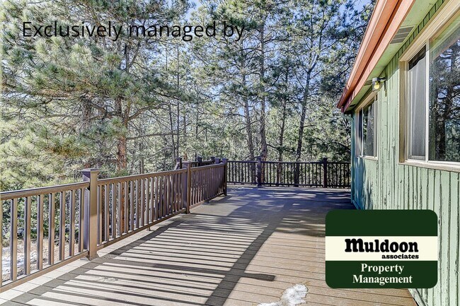 Building Photo - Coming soon, Stunning Black Forest Home!