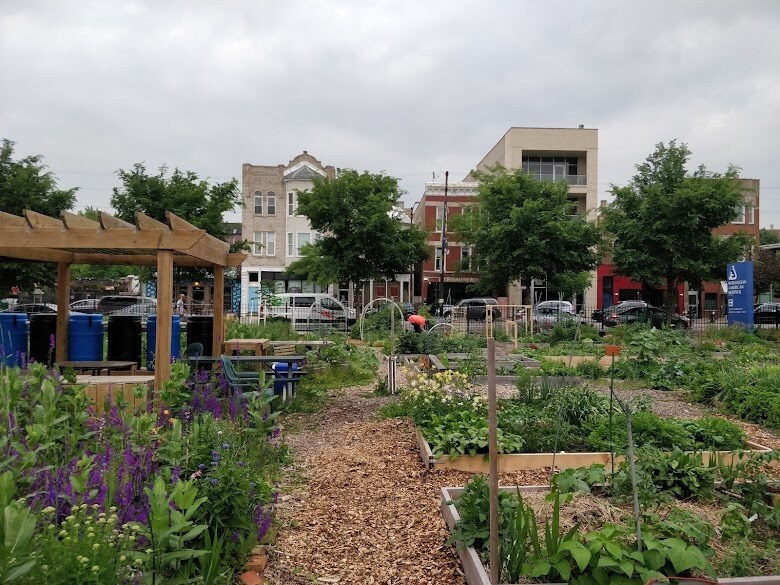 Monarch Community garden located across the street - 1047 N California Ave