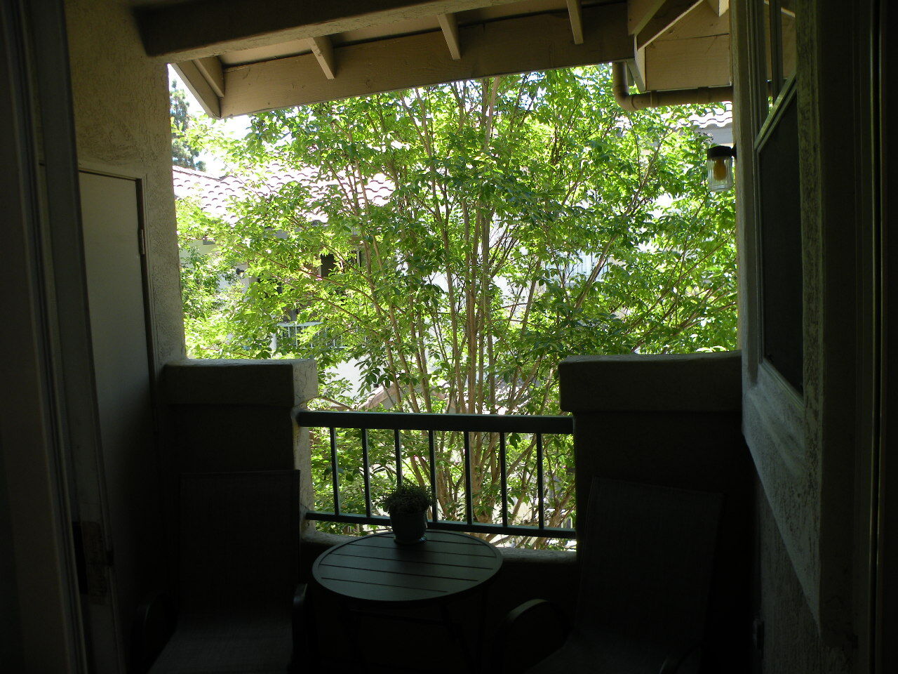 Tree shading on patio - 8680 New Salem St
