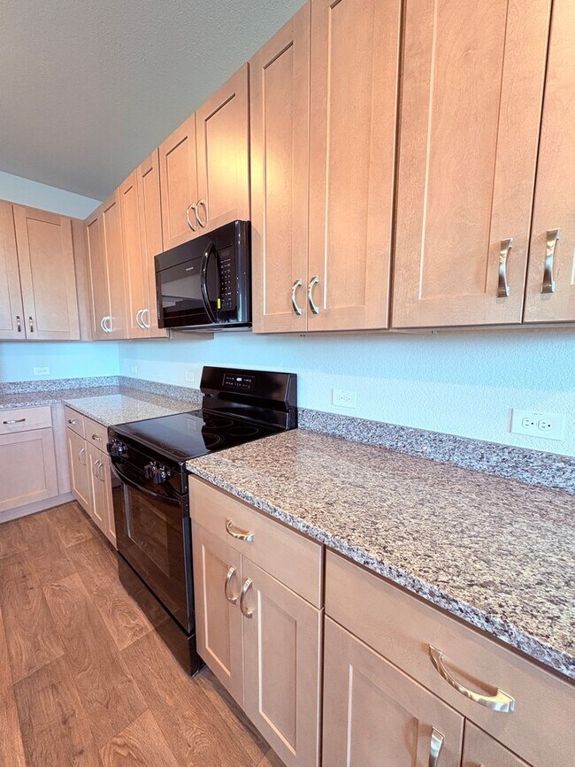 Building Photo - Brand New 4-Bedroom Home in Pflugerville –...
