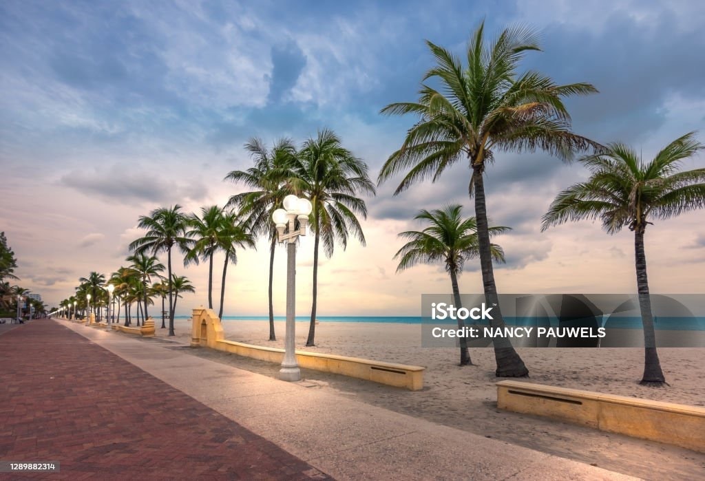 Building Photo - 6820 Scott St