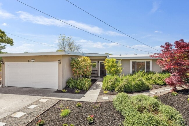 Building Photo - Full Remodeled Single-Level Home in San Rafael