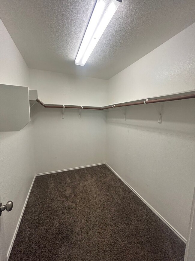 Building Photo - Updated South Fork Ranch Home