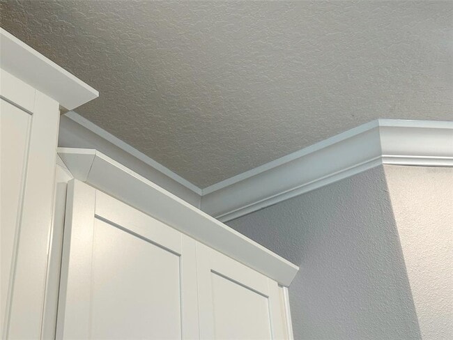 Building Photo - 17216 Mango Shay Ct