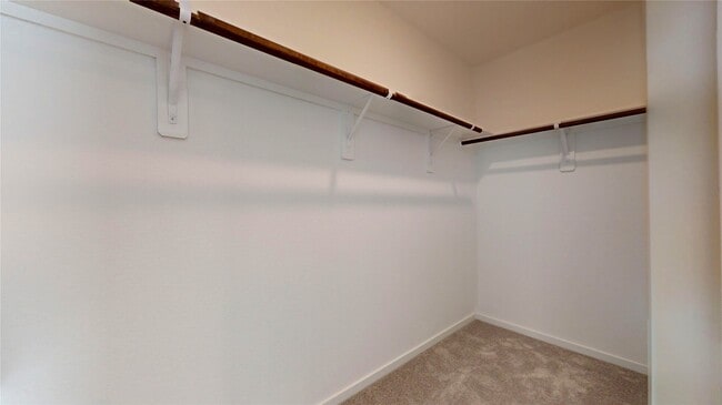 Building Photo - 1634 Birch Wood Dr