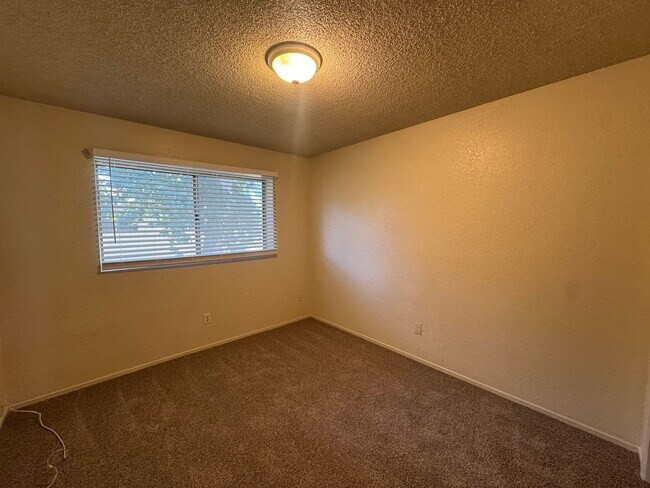 Building Photo - 4208 White Ln