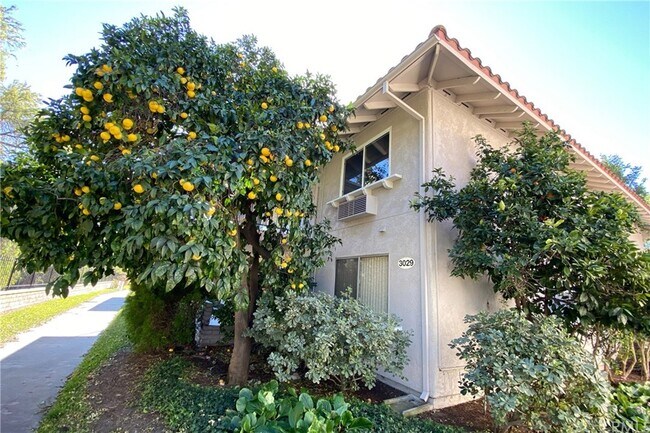 Building Photo - 3029 C. Sonora