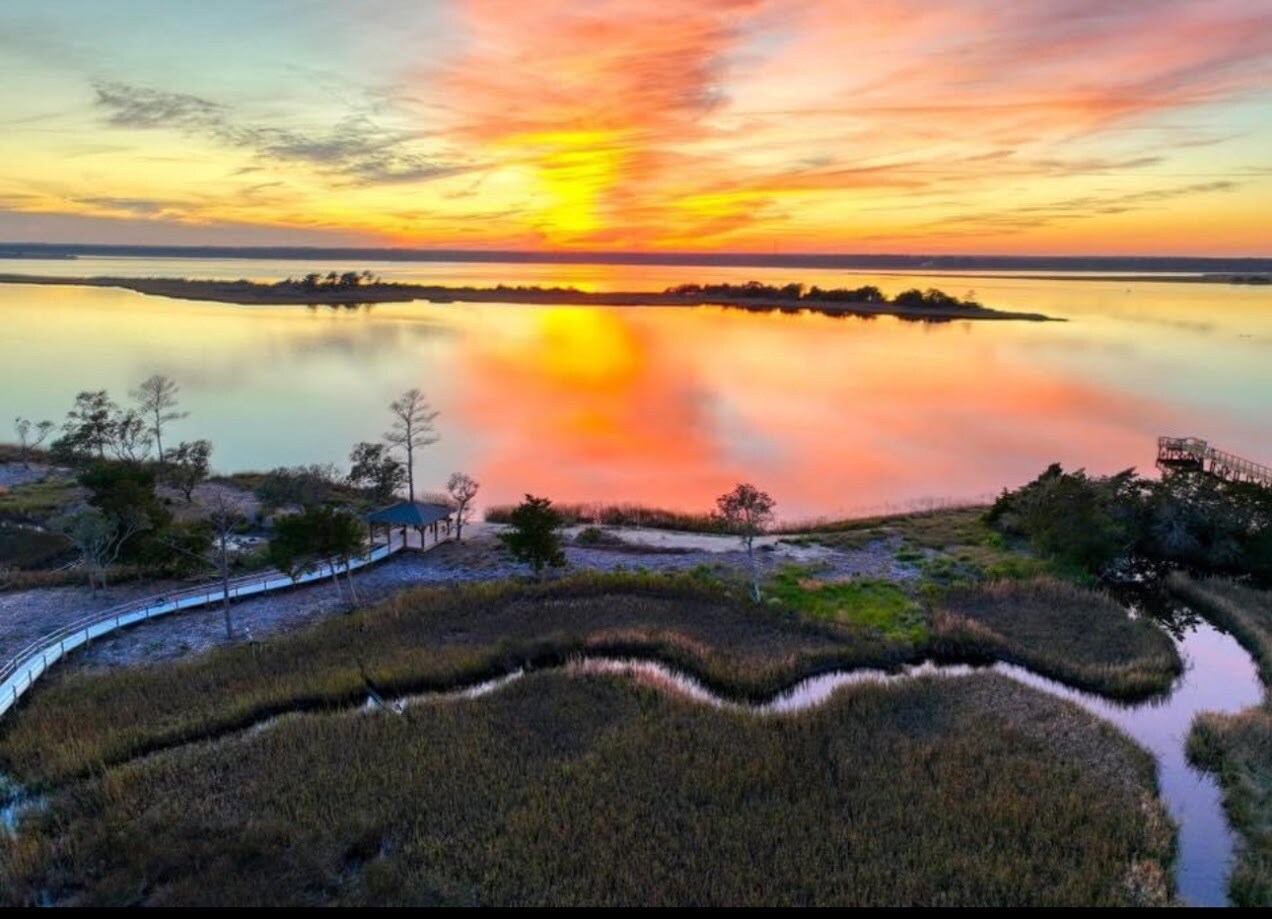 Building Photo - 6671 Lemon Ln